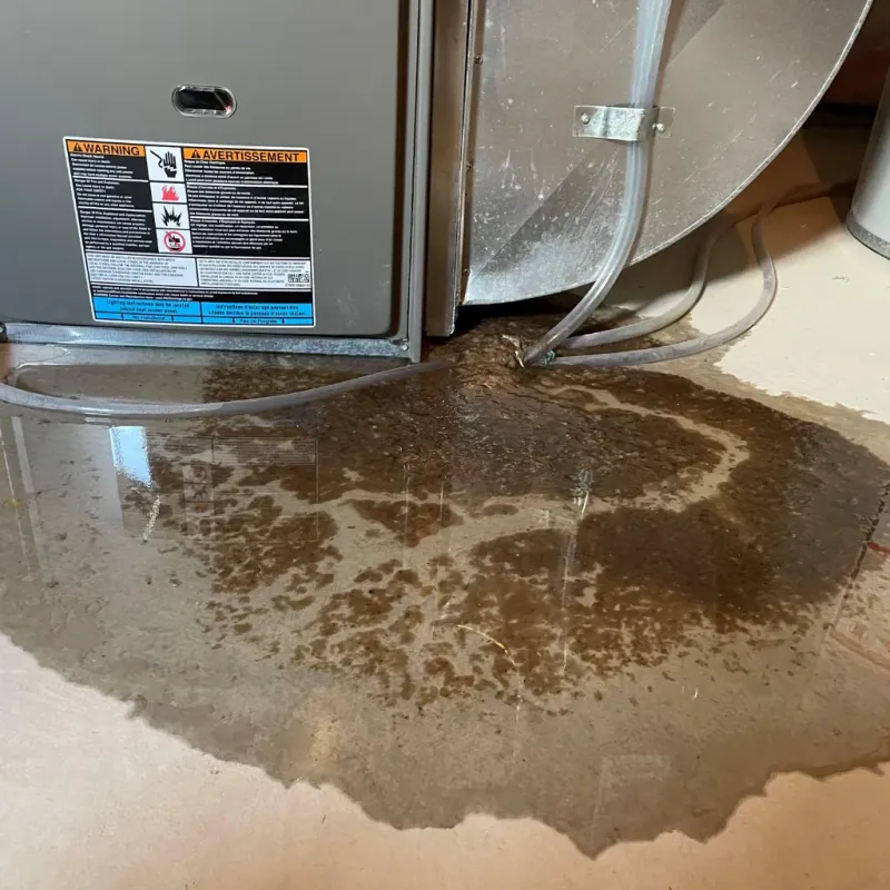 Appliance Leak Cleanup in Niland, CA